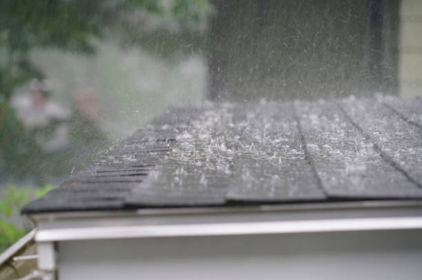 Best Metal Roofing Installation  in Big Rock, IL