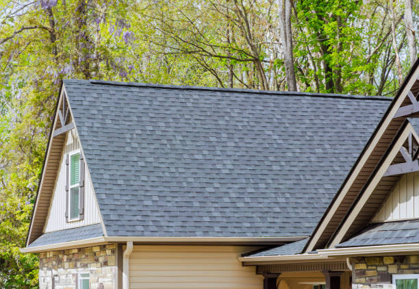 Best 4 Ply Roofing  in Big Rock, IL