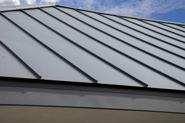 Best Skylight Installation and Repair  in Big Rock, IL