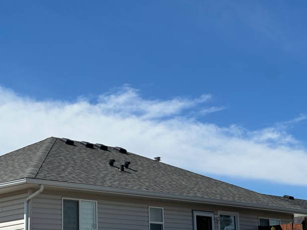 Best Rubber Roofing (EPDM, TPO)  in Big Rock, IL